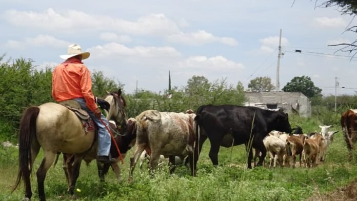 photo_2021-08-26_13-45-10