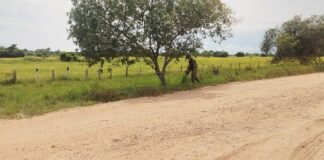 Autoridades desactivaron artefacto explosivo en la vía Tame – Puerto Rondón