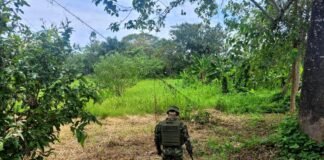 Ejército neutralizó artefacto explosivo en zona rural de Arauquita