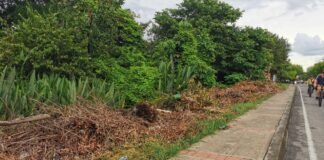 Bomberos de Arauca alertan sobre riesgos de incendios forestales