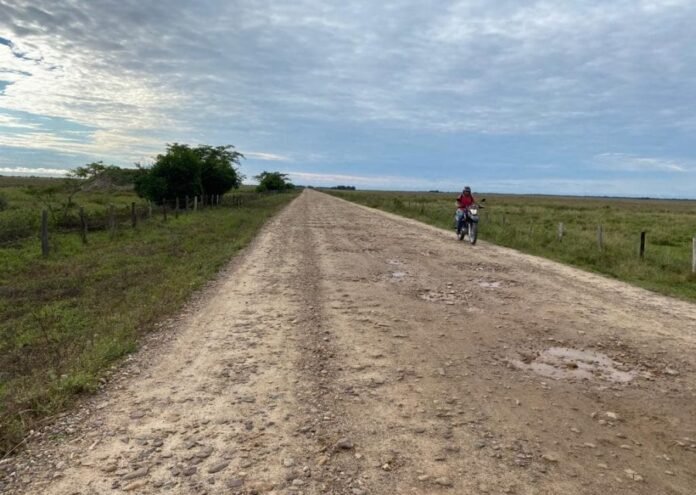 las monas-alairenoticias