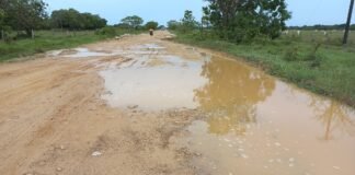 Denuncian el posible secuestro de cuatro personas entre los municipios de Tame y Rondón