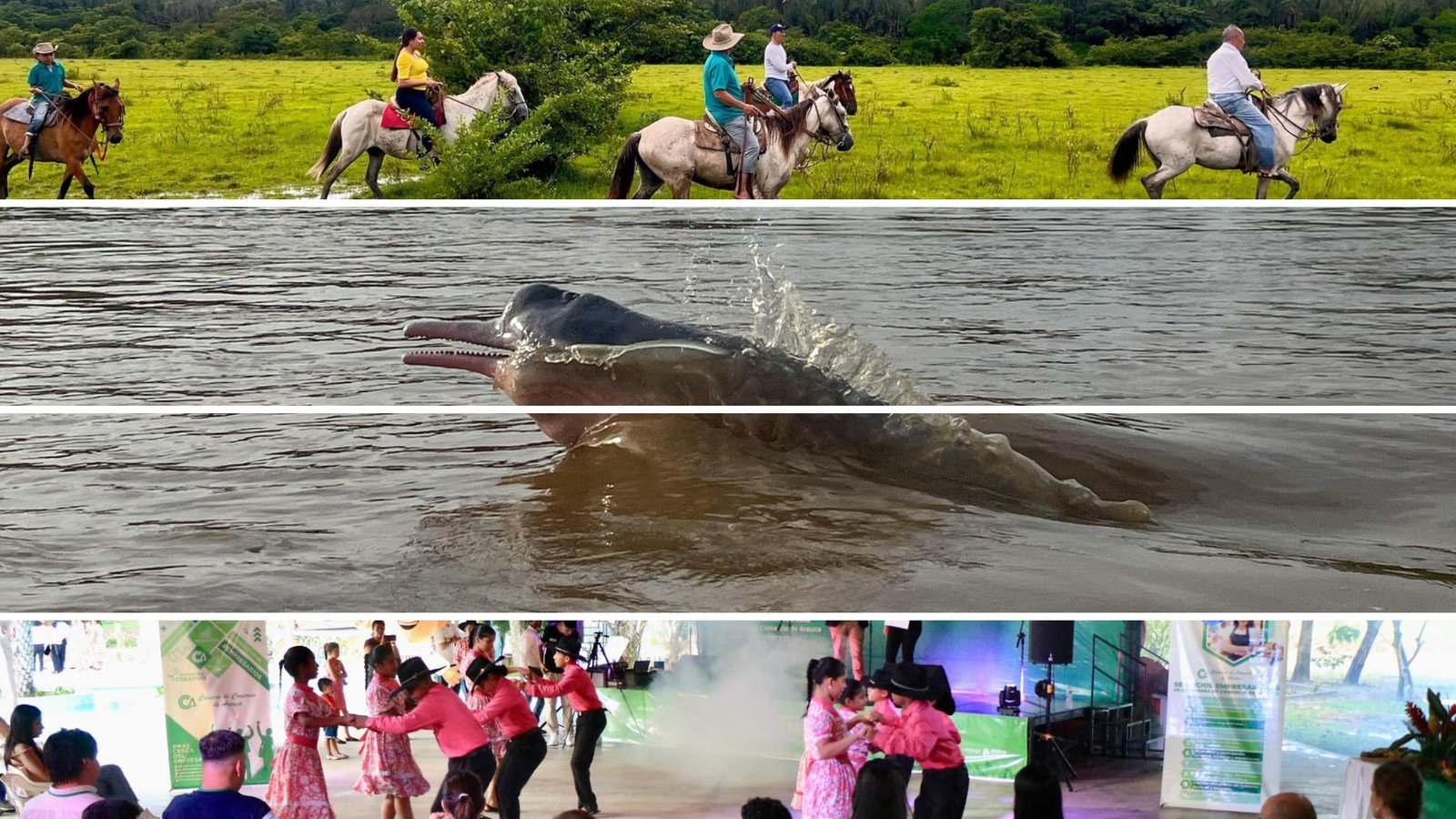 ARAUCA: Destino Verde