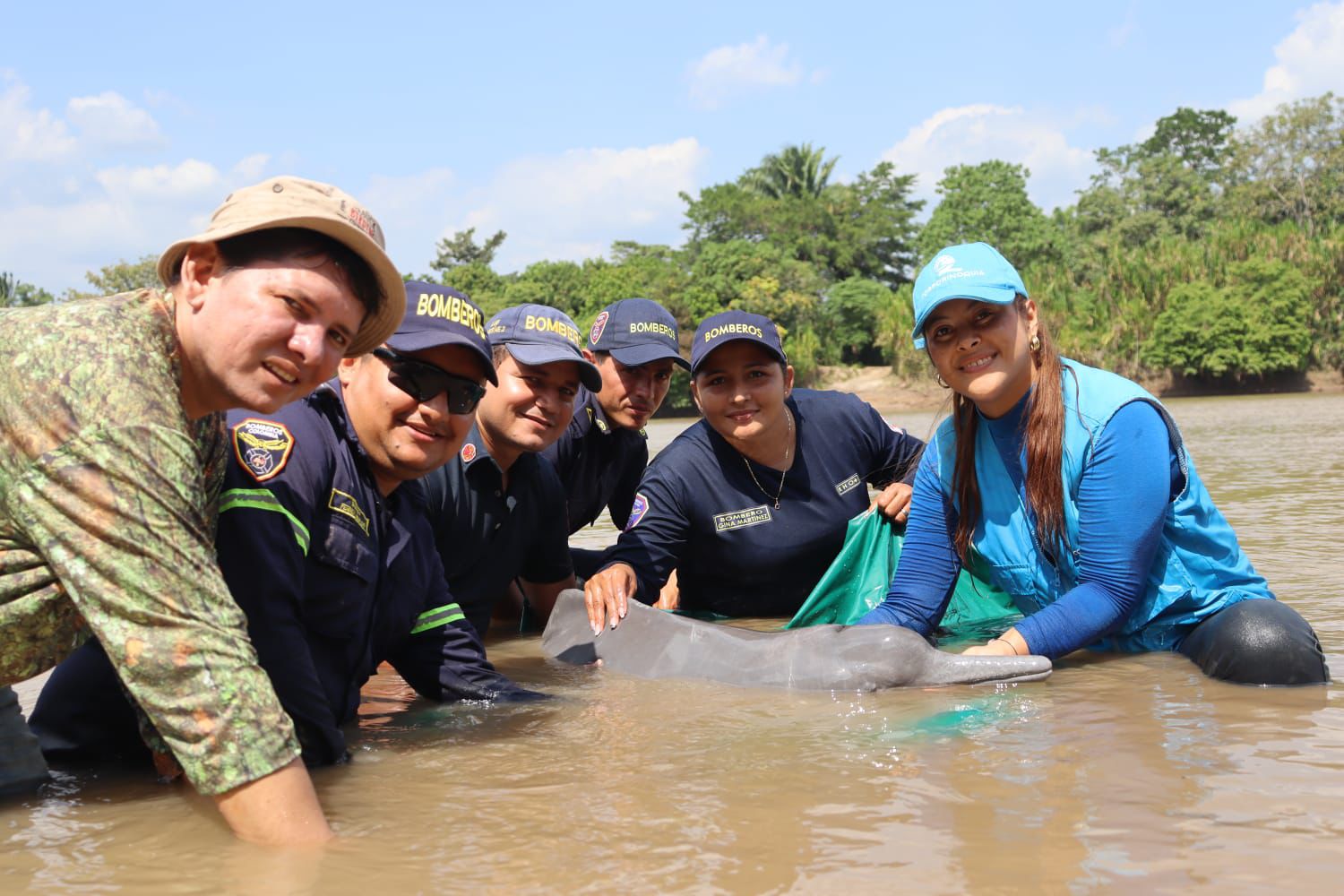 rescate de tonina o delfin rosado 06 al aire noticias noticias de arauca