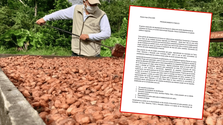 Cacaocultores de Arauca solicitan apoyo institucional para proyecto de siembra en cinco municipios