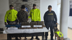 Cae ‘ollita’ de droga en Arauca: incautan marihuana y capturan a un hombre en Flor de mi Llano