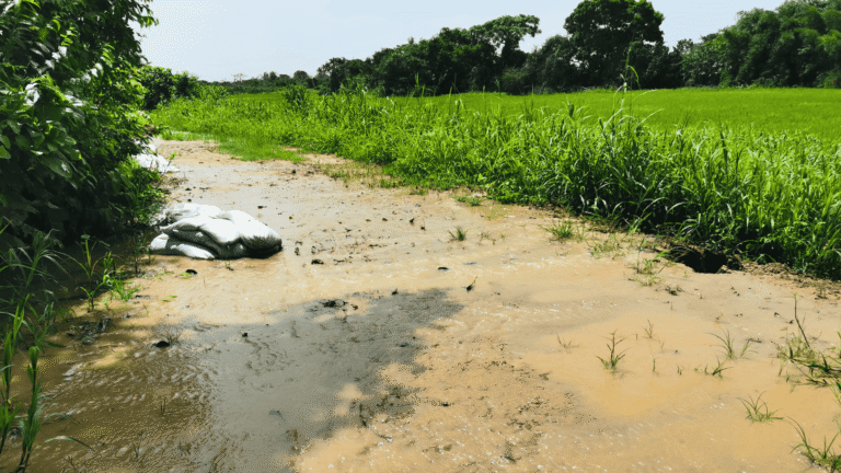 Habitantes de la vereda Los Pechos denuncian afectaciones por la temporada invernal
