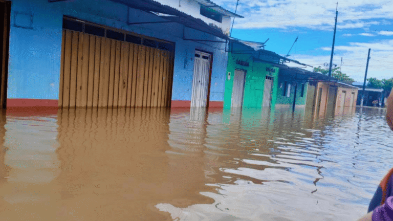 Inundaciones persisten en Puerto Nariño pese al descenso del nivel del agua