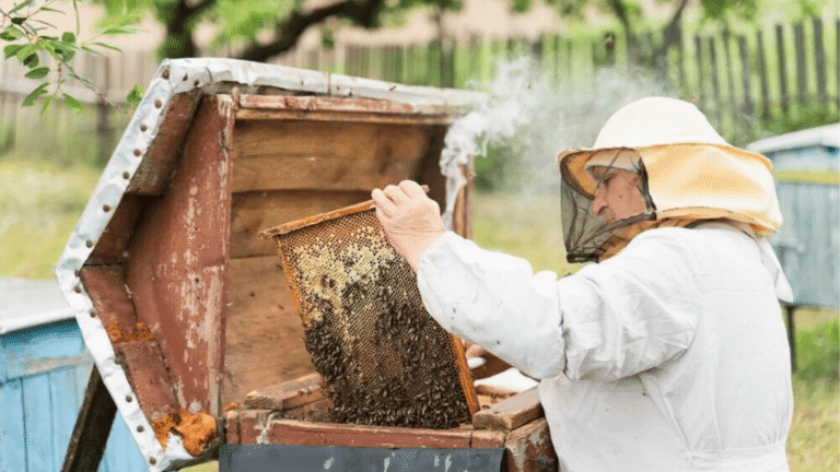 APRODEL ofrece asistencia técnica gratuita a productores rurales de Tame: inscripciones aún abiertas