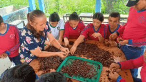Estudiantes aprenden a transformar el cacao en chocolate artesanal gracias al programa Sembrando Futuro