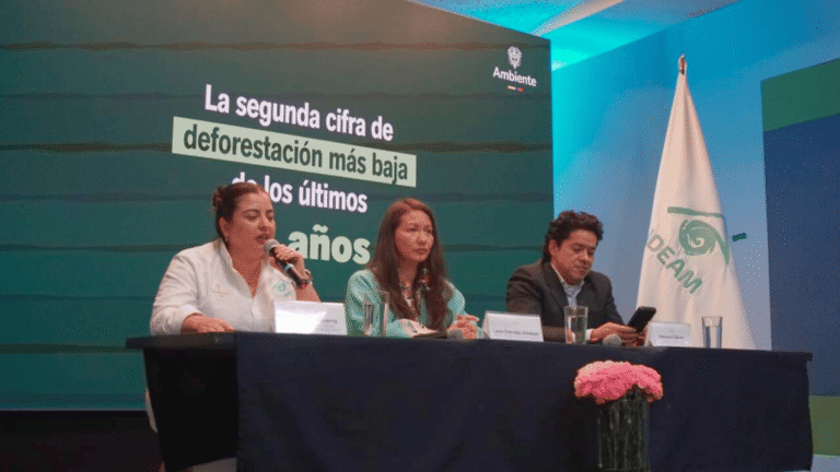 Deforestación se redujo en Arauca en 2024 mientras la Amazonía concentra los focos más críticos