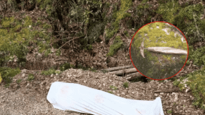 Hombre fallece tras ataque con arma blanca en la vía de La Soberanía