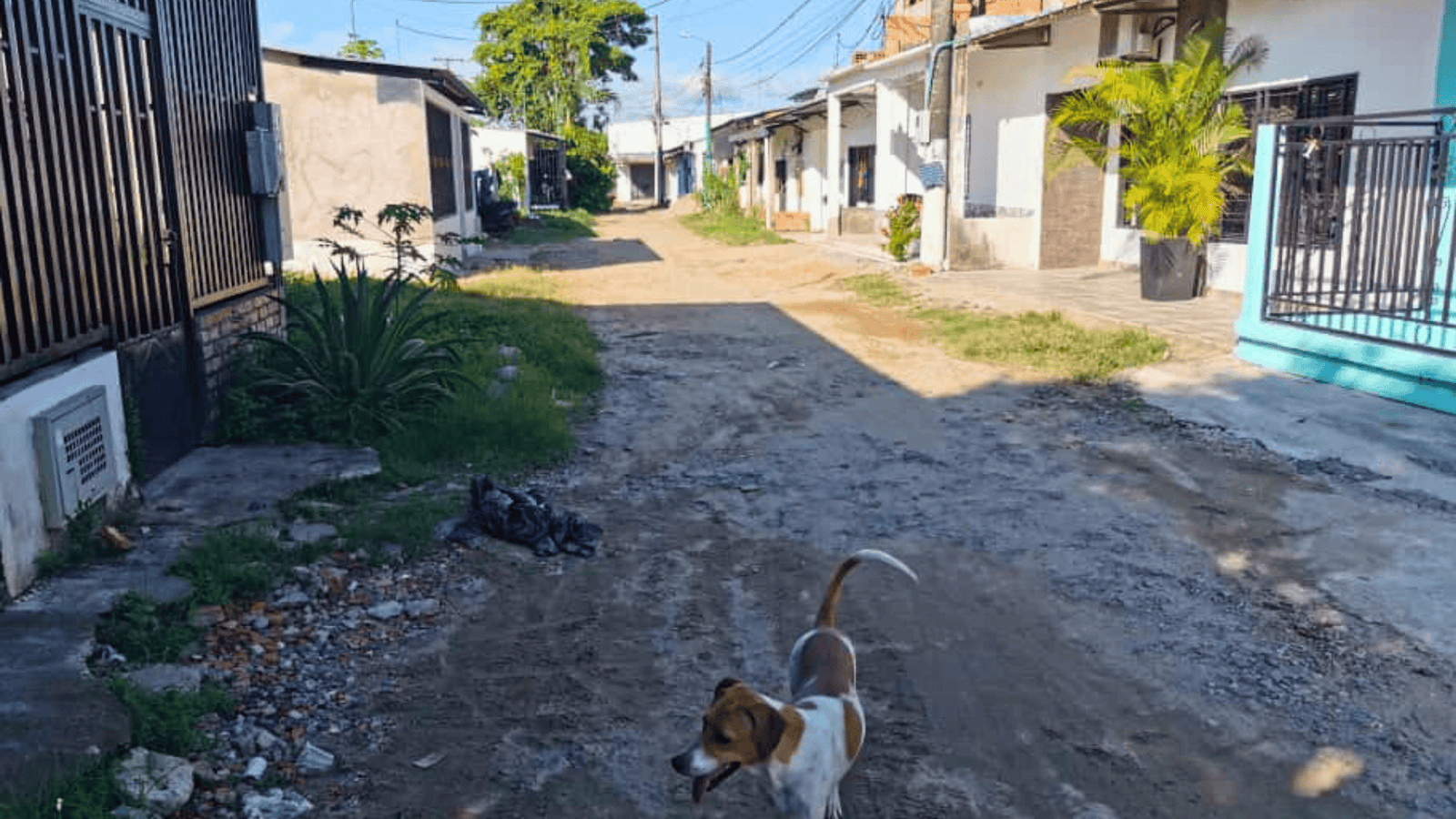 Habitantes del barrio Boulevard de la Ceiba reclaman avances en proyecto de pavimentación