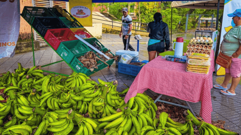 Arauca celebrará el Día Internacional de la Mujer Rural con feria campesina