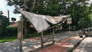 Habitantes de Santa Bárbara advierten riesgo por árboles a punto de caer y deterioro en vía de acceso