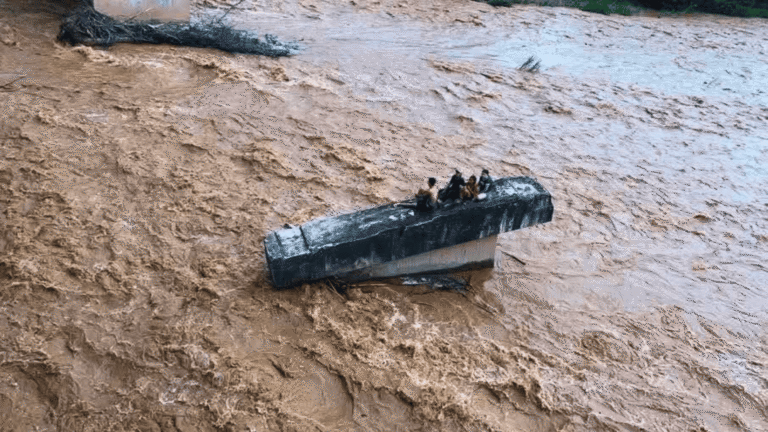 Policía fortalece el pie de fuerza en Arauca con 180 nuevos patrulleros 1 noticias de arauca IDEAM alertó sobre crecientes súbitas en ríos del departamento