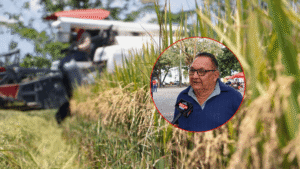 Arauca expone su crisis arrocera ante el Consejo Nacional del Arroz