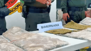 Incautan siete kilogramos de marihuana enviados como encomienda en Arauca