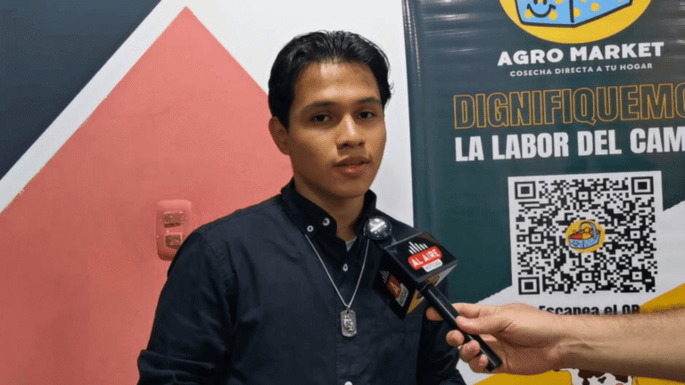 AgroMarket: la App desarrollada por un joven araucano para vender o comprar productos del campo