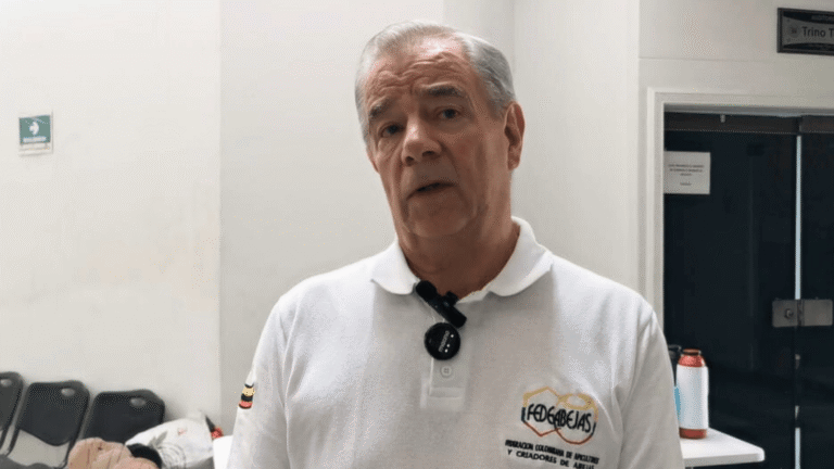 Apicultura en Colombia enfrenta retos por el cambio climático y la adulteración de la miel