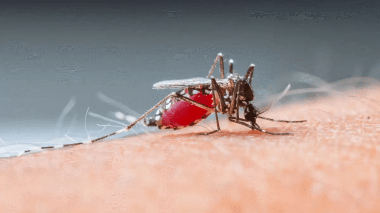 Autoridades de salud reportan aumento de casos de dengue en Arauca