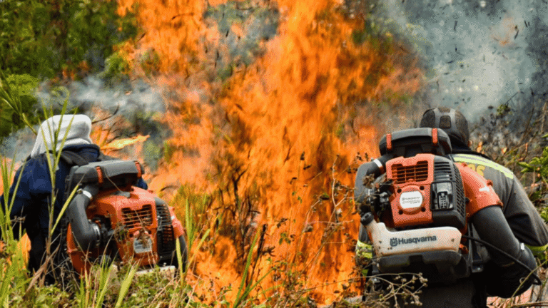 Sin capturas por incendios en Arauca. Autoridades instan a denunciar a responsables