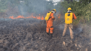 Defensa Civil refuerza brigadas para atender incendios forestales en Arauca
