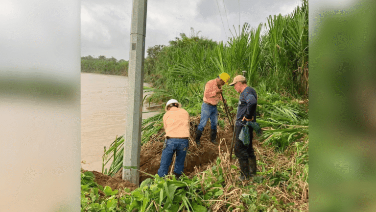 Cerca de 2.690 postes requieren ser reemplazados, según informe de Enelar