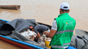 Así regirá el periodo de veda pesquera en Arauca