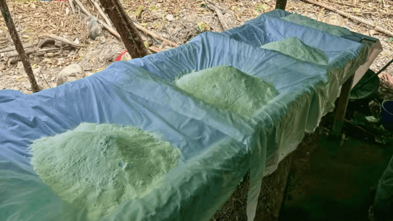 Ejército desmantela laboratorio de cocaína atribuido al ELN en Boyacá