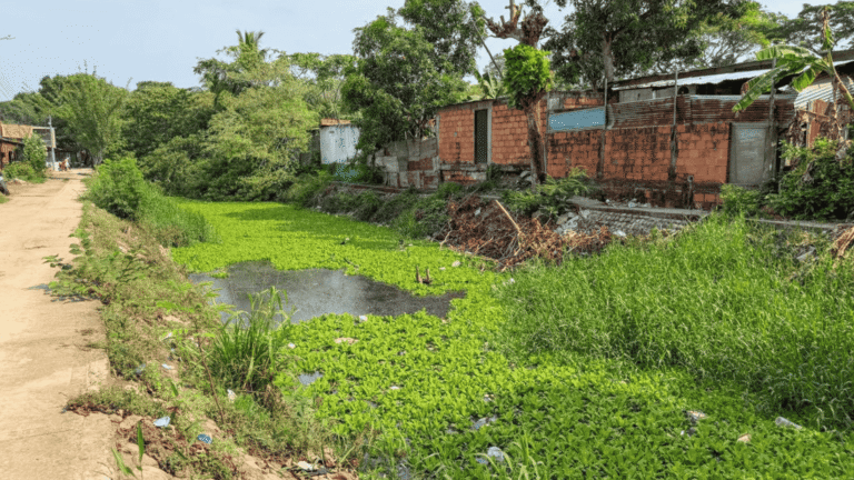 Iniciará limpieza de canales hídricos para prevenir inundaciones en Arauca