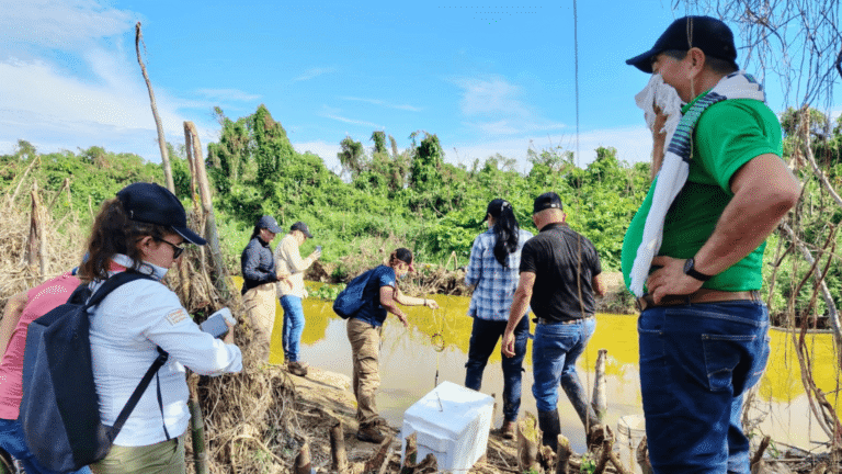 Hospital San Vicente de Arauca advierte falta de médicos y congestión en urgencias 1 noticias de arauca Solicitan mesa técnica para investigar causas de mortandad de peces en Arauquita