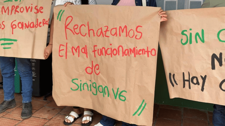 “Se nota la improvisación del ICA”: ganaderos de Arauca tras reunión con directivas en Bogotá